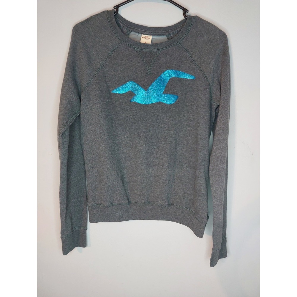 HOLLISTER Sweatshirt - Size Medium - Grey - Great Condition - See Through Back‎